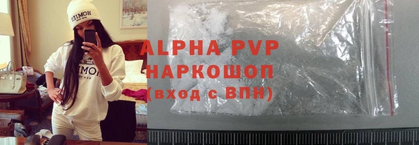 прущие грибы Абинск