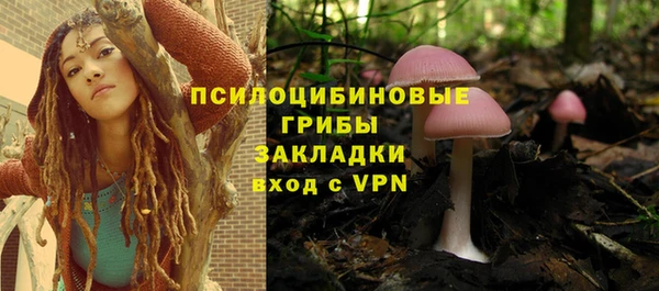 ГАЛЛЮЦИНОГЕННЫЕ ГРИБЫ Абдулино