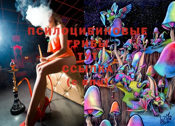 амфетамин Няндома
