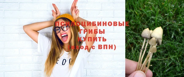 сатива Нязепетровск