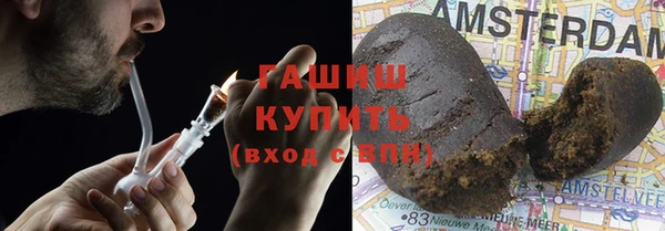 прущие грибы Абинск