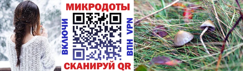 дарк нет как зайти Усолье Псилоцибиновые грибы мухоморы даркнет сайт